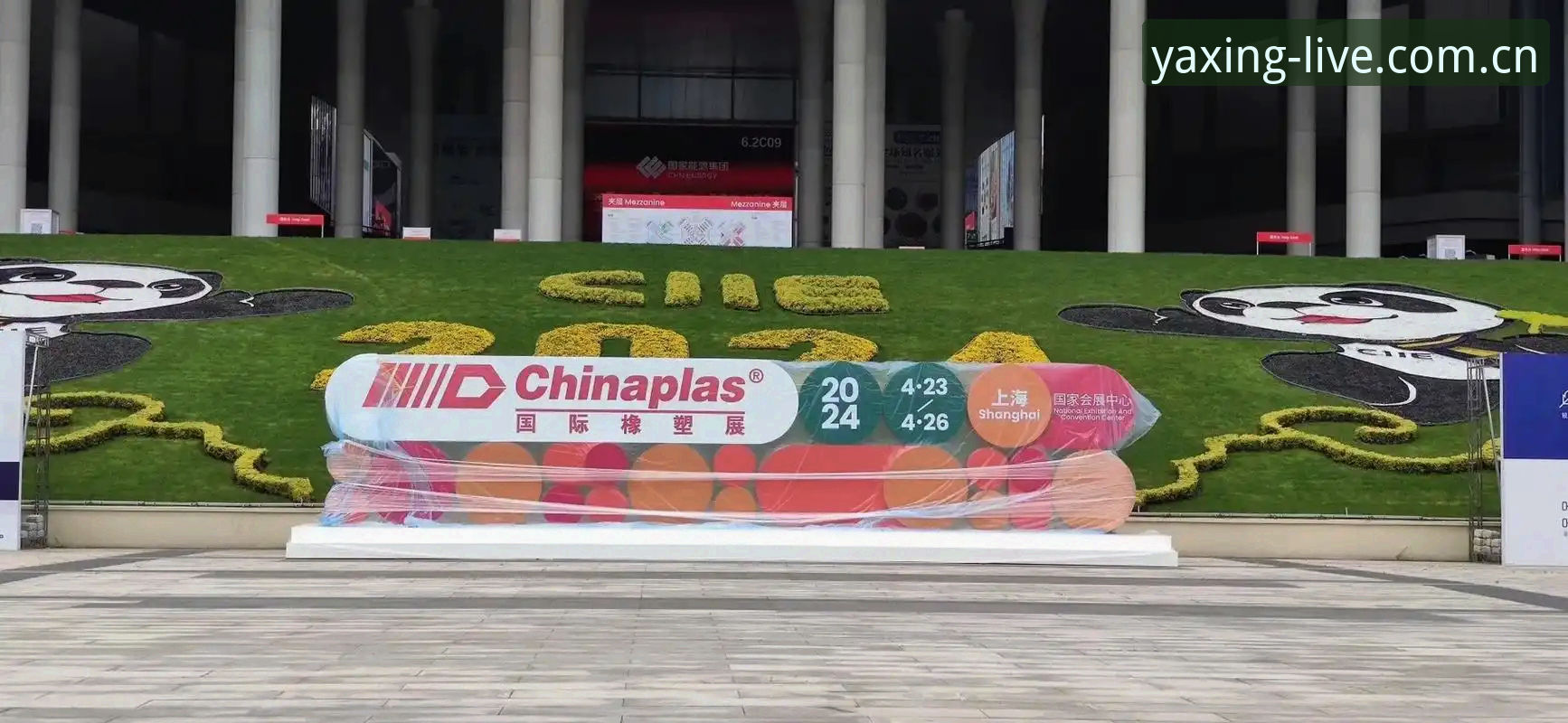新手玩家亲测：亚星体育平台使用心得，从注册到投注的实战经验分享