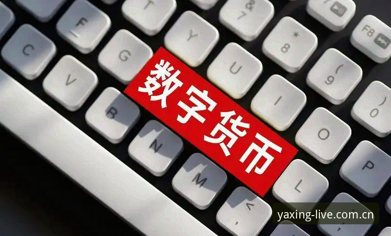 2026亚星体育怎么用？从注册到投注的一站式教程全解析