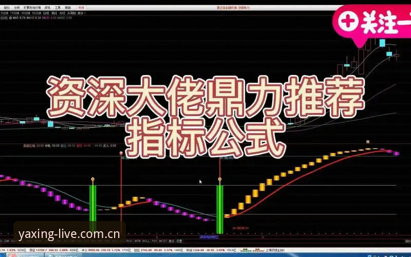资深用户揭秘亚星体育高清直播：从入门到精通的实战经验